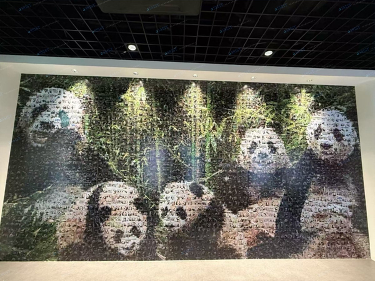 爱宝乐园文化体验活动-2